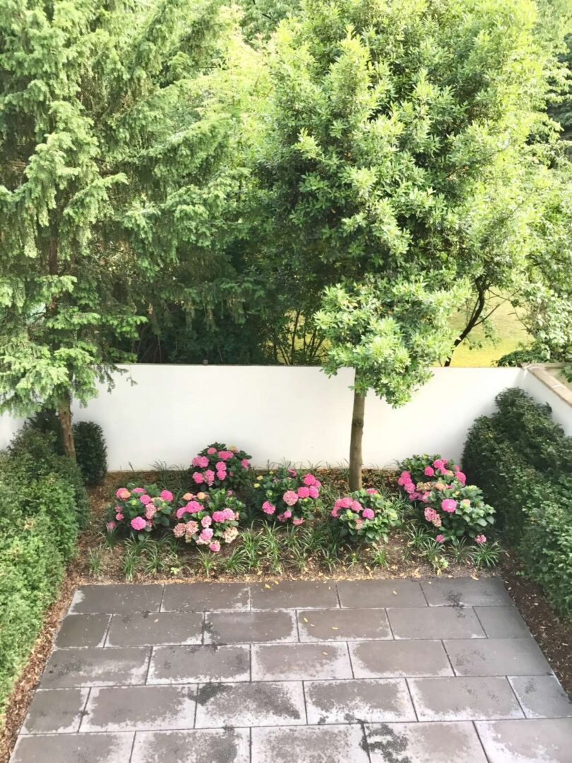 Ausblick Garten EG