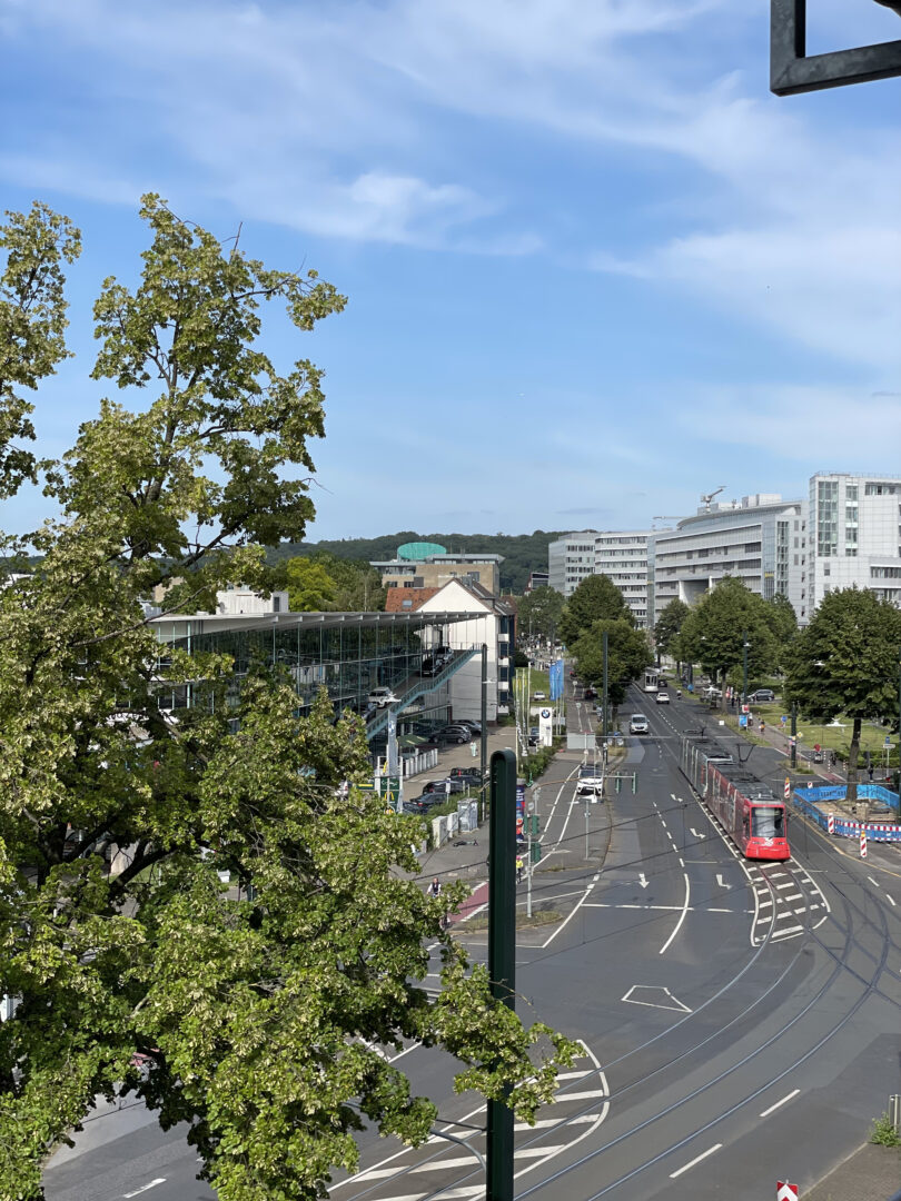 Ausblick vom Balkon