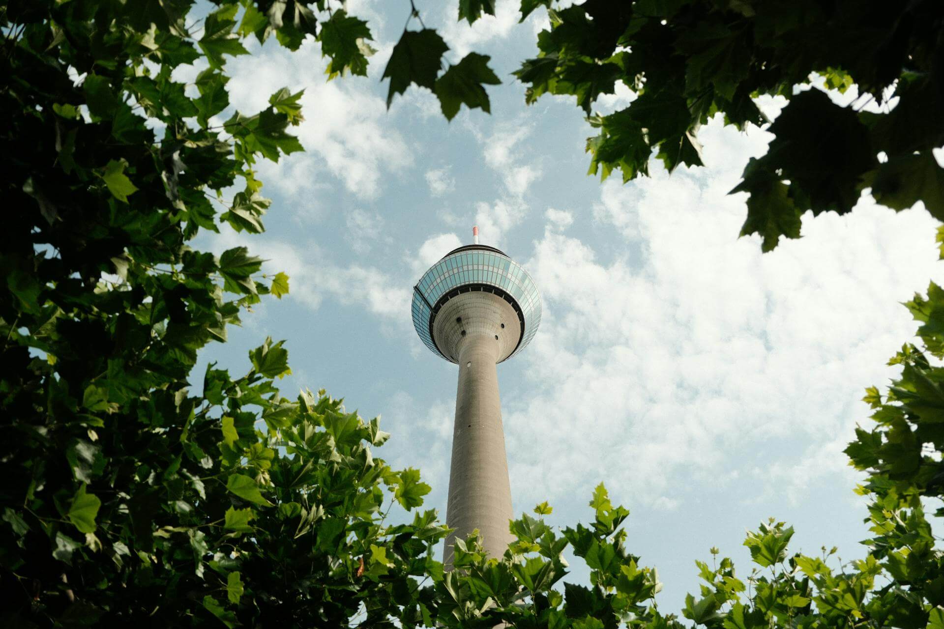 Immobiliemakler Düsseldorf Grafenberg Savic Immobilien
